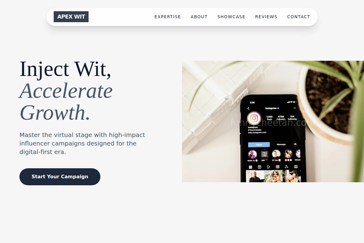 Zoom Influencer Marketing