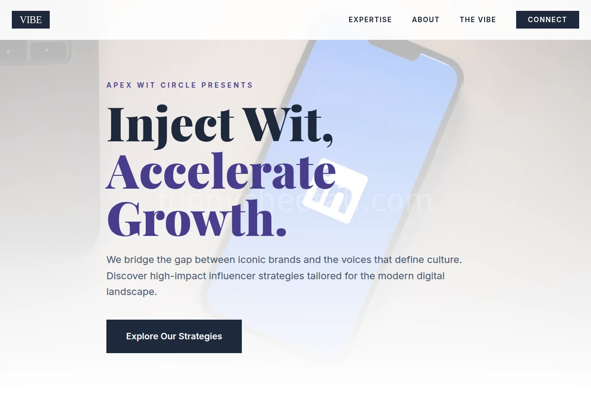 Vibe Influencer Marketing