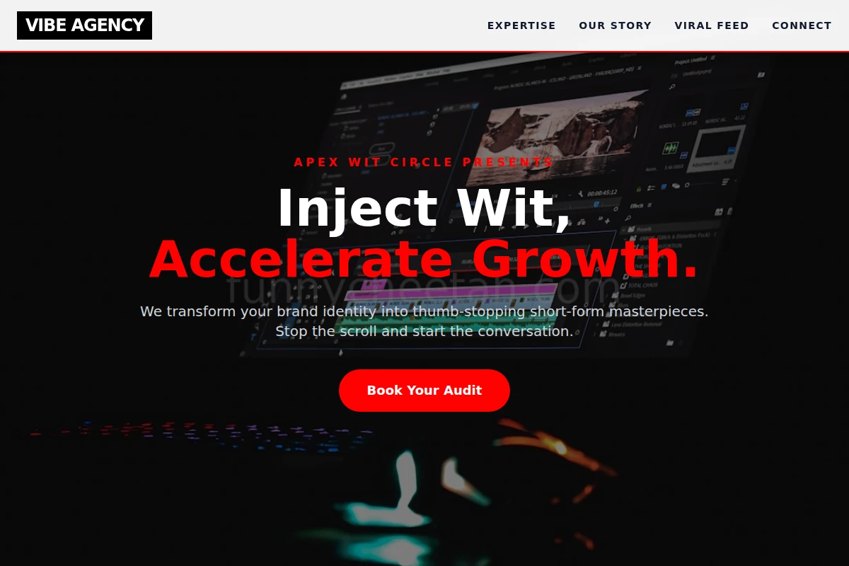 Vibe Short Form Video Agency
